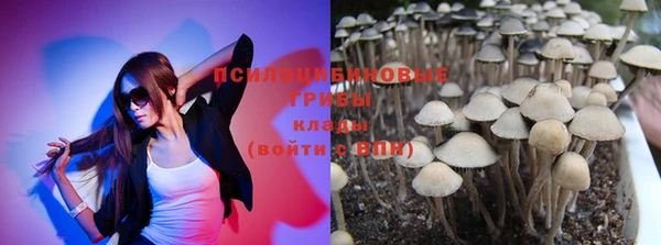 стаф Абинск